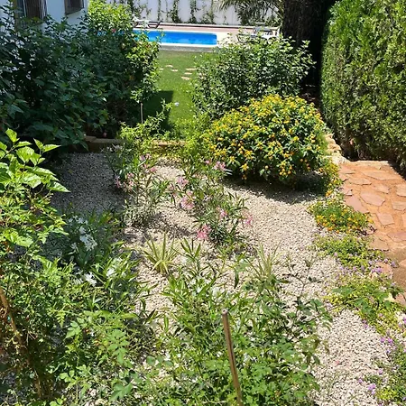 Villa Pura Vida